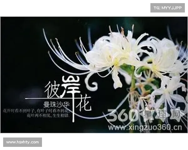 花语学院困难攻略-花语学院游戏:花语学院攻略:踏上荆棘密布的征程,解锁花语之谜 花语学院困难攻略-花语学院游戏:花语学院攻略:踏上荆棘密布的征程,解锁花语之谜